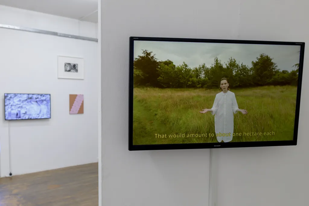 White wall gallery with a wooden floor, a TV is hanging from a wall showing a video depicting a person standing in a grass field dressed in white addressing the audience with open arms with the subtitles 'that would amount to about one hectare each' in yellow at the bottom, another TV hangs on the wall in the background out of focus.