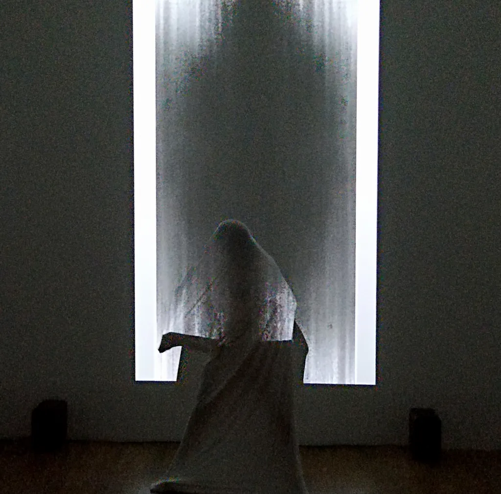 Documentation of a live performance, a person drapped in white fabric standing in front of a large proejction of a shadowy figure in black and white in a dark room.